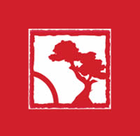 The Pain Relief Clinic